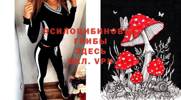 прущие крисы Медвежьегорск