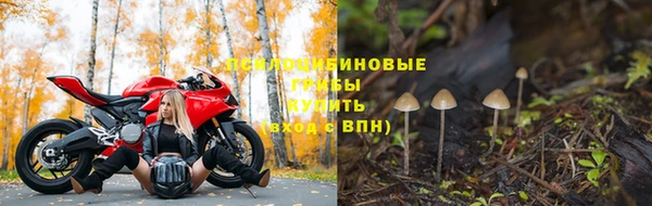 гидропоника Магас
