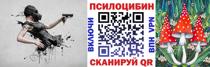 Купить  Маркс  Псилоцибиновые грибы Psilocybe 